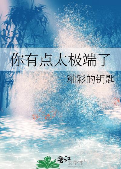 你有点太极端了